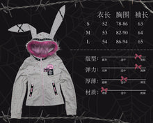 Load image into Gallery viewer, EvilTooth Punk Rabbit Hoodie